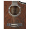 قیمت خرید فروش گیتار آکوستیک Ibanez EW20WNE NT